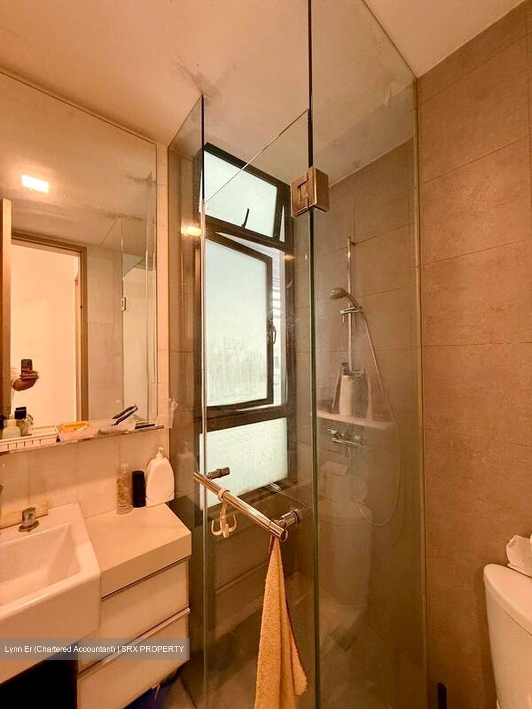 RiverGate (D9), Apartment #519395581